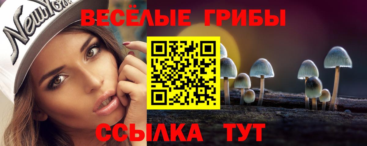 Волжский  Галлюциногенные грибы прущие грибы  Вход с VPN 